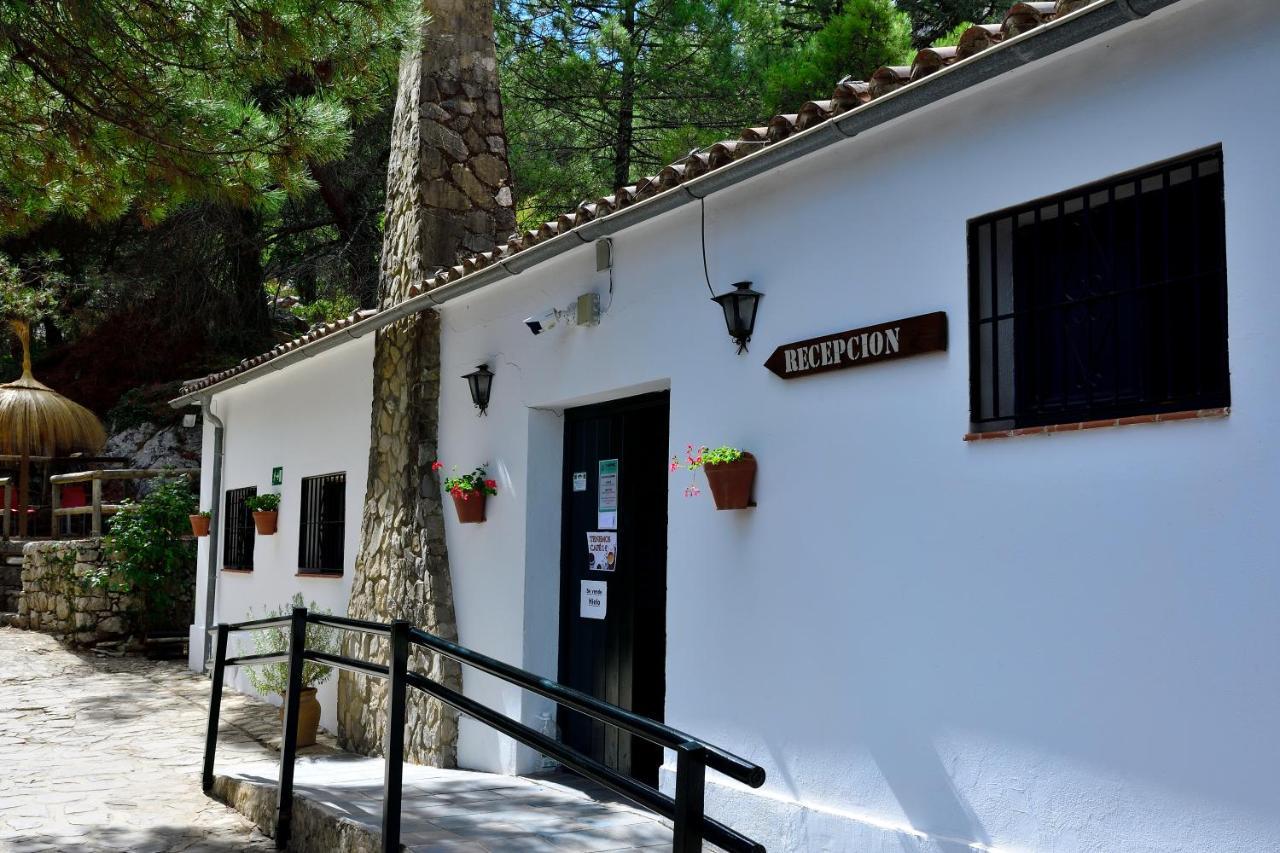 Camping Tajorodillo Grazalema Εξωτερικό φωτογραφία