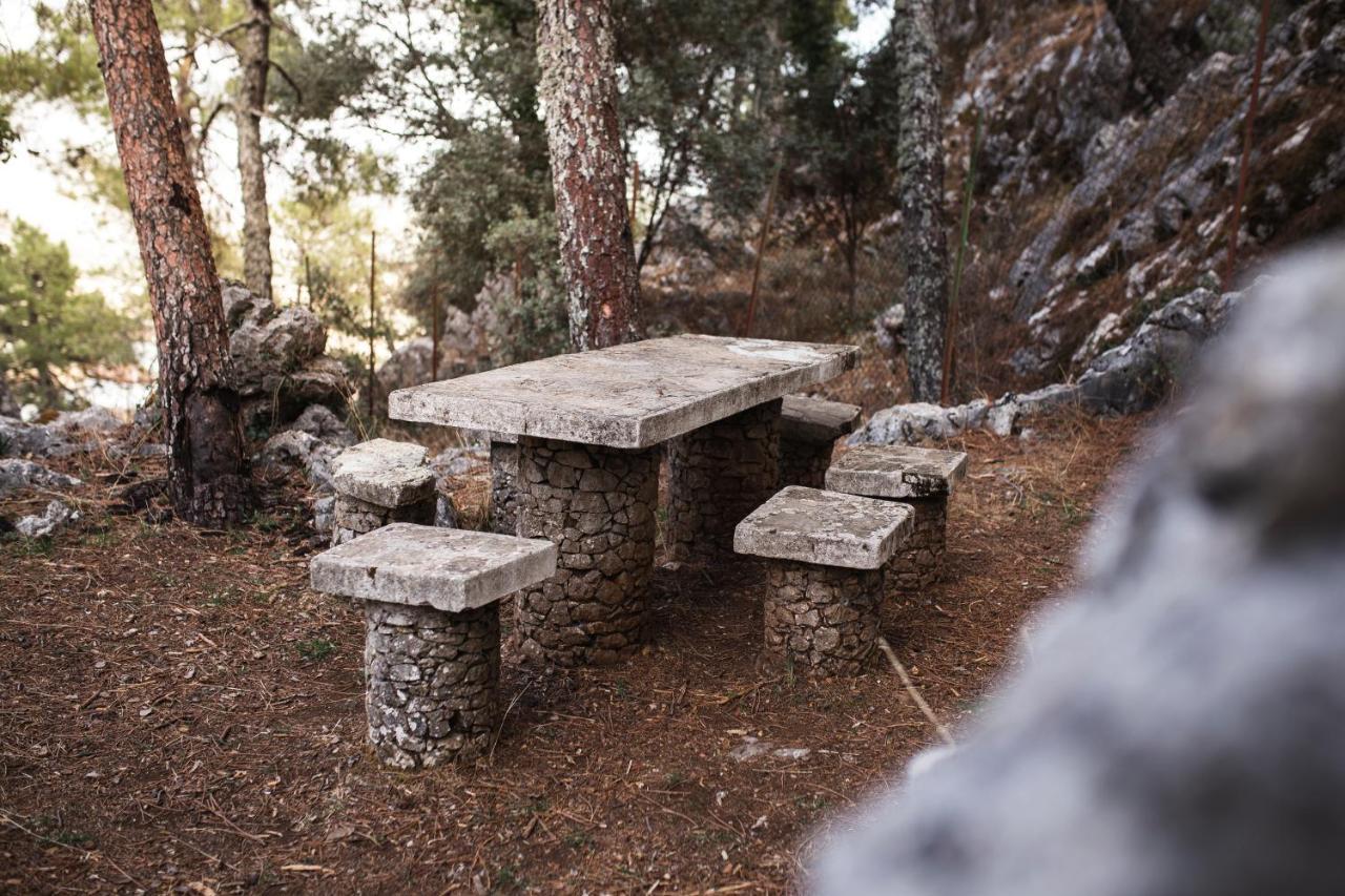 Camping Tajorodillo Grazalema Εξωτερικό φωτογραφία