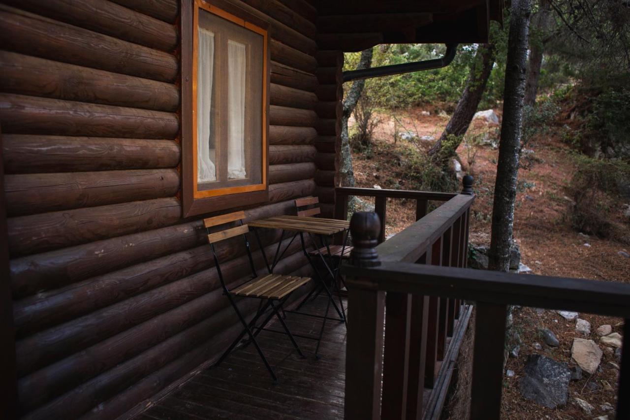Camping Tajorodillo Grazalema Εξωτερικό φωτογραφία