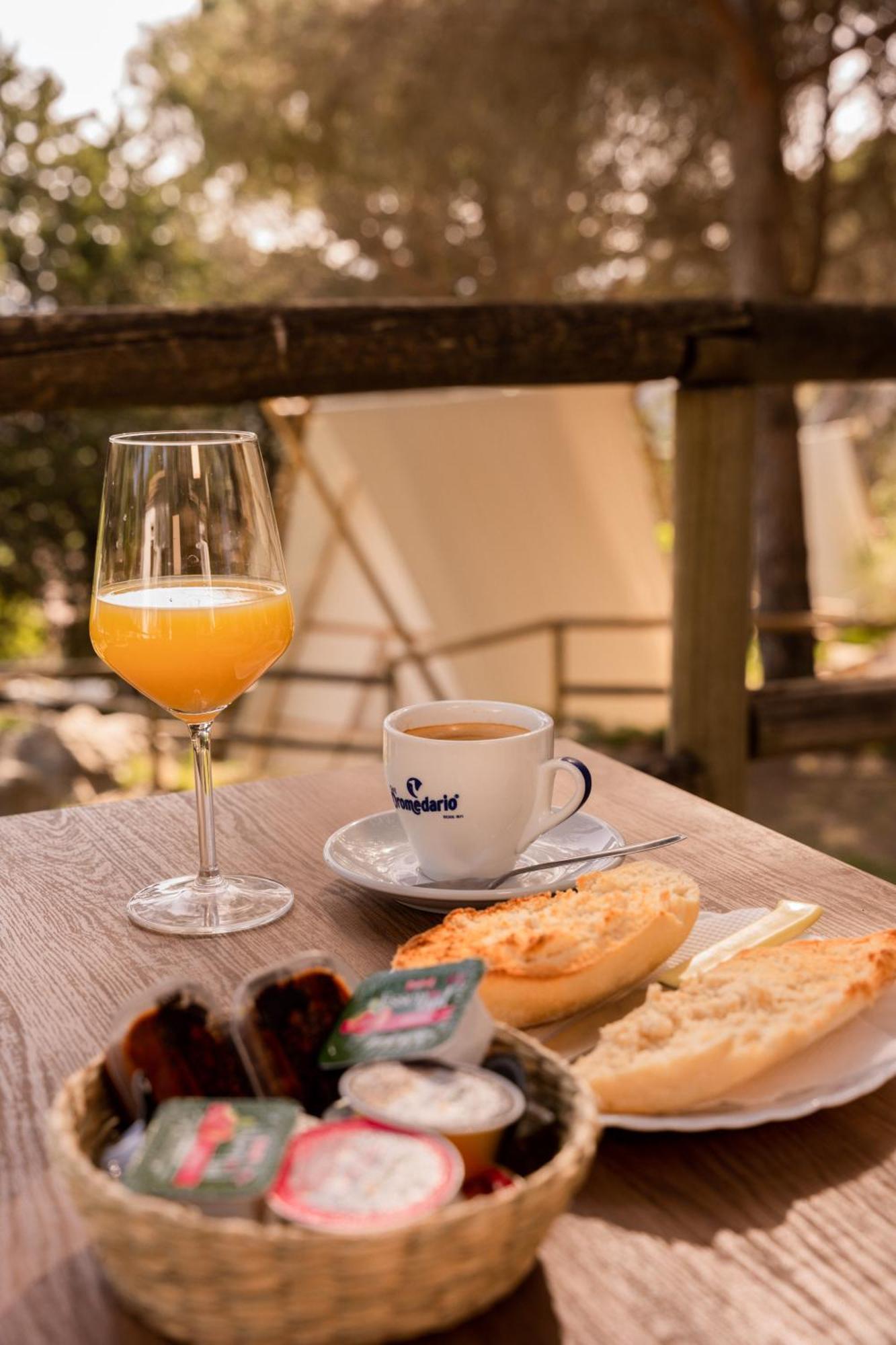 Camping Tajorodillo Grazalema Εξωτερικό φωτογραφία
